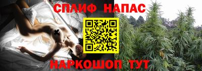 СК Беслан